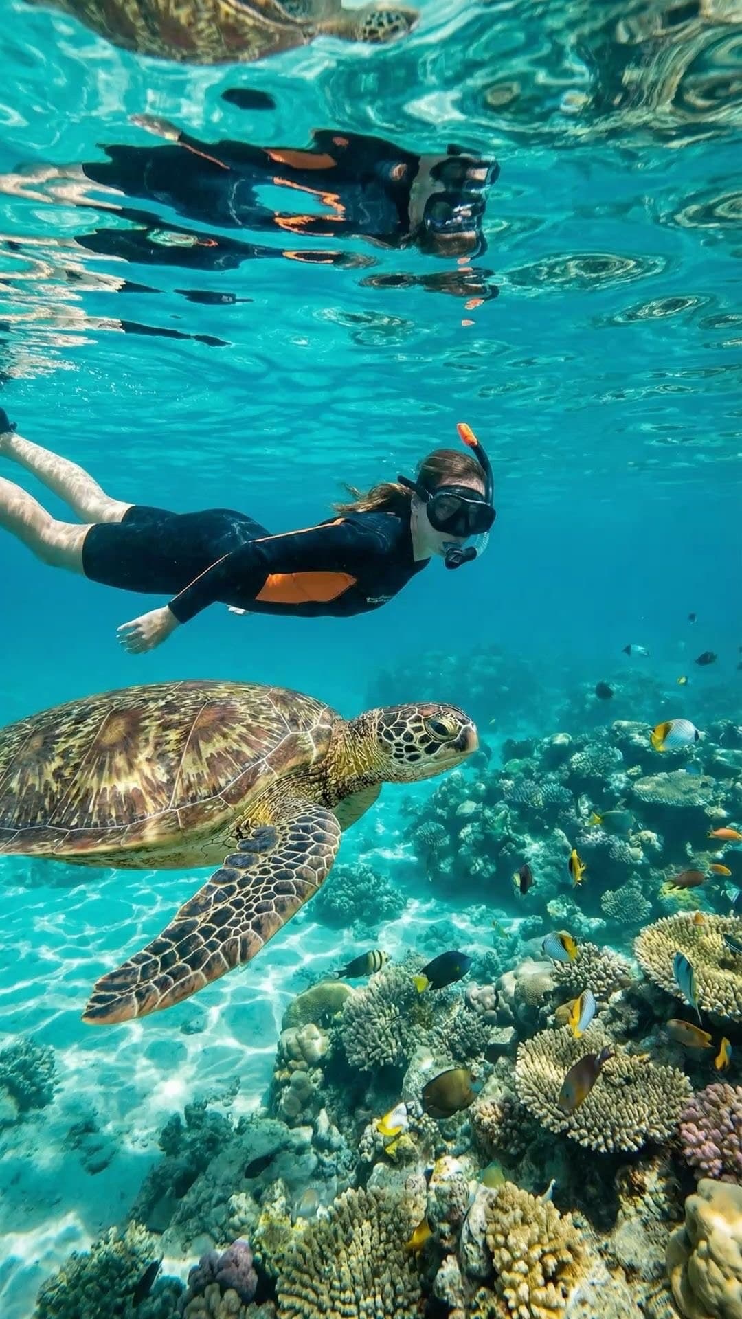 Бали & Малайзия
(молодёжный тур) — фото 8